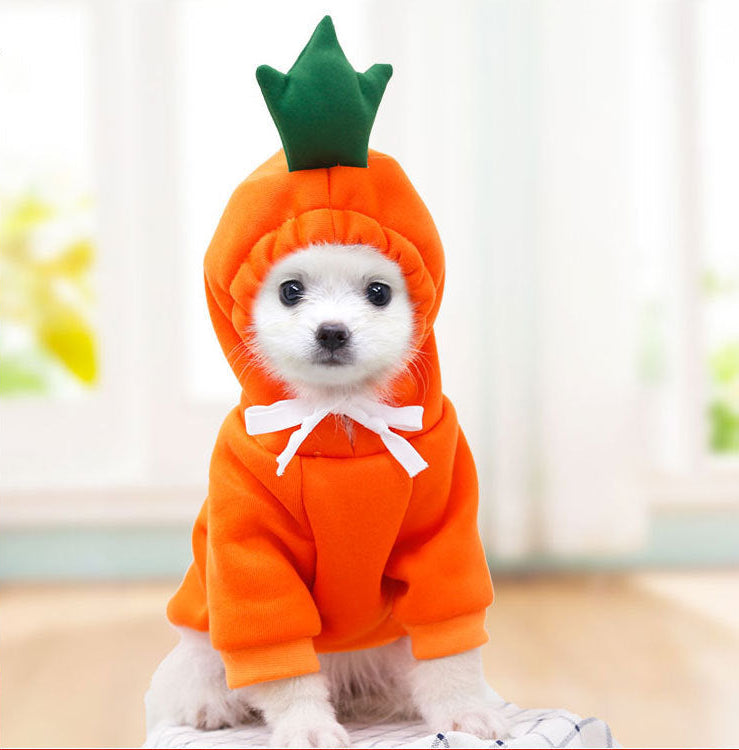 Hundetøj_orange