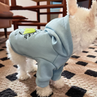 Hund sidder tæt på kameraet i den blå trøje, hvilket fremhæver materialets blødhed og farve.