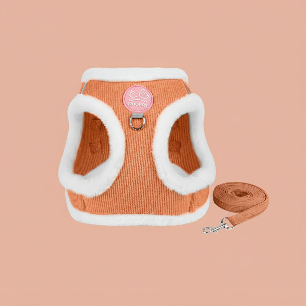 Tyk, foret katteharnes i lys orange (fersken) ribbet fløjl, kantet med hvidt plys, inklusiv matchende snor med metalspænde.