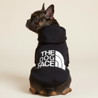 Cool Fransk Bulldog iført sort 'The Dog Face' sweatshirt fra Snudles. Holdbar og stilfuld genser til mellemstore hunde.