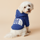 Populær lyseblå 'The Dog Face' hundetrøje fra Snudles. Tilgængelig i mange størrelser.