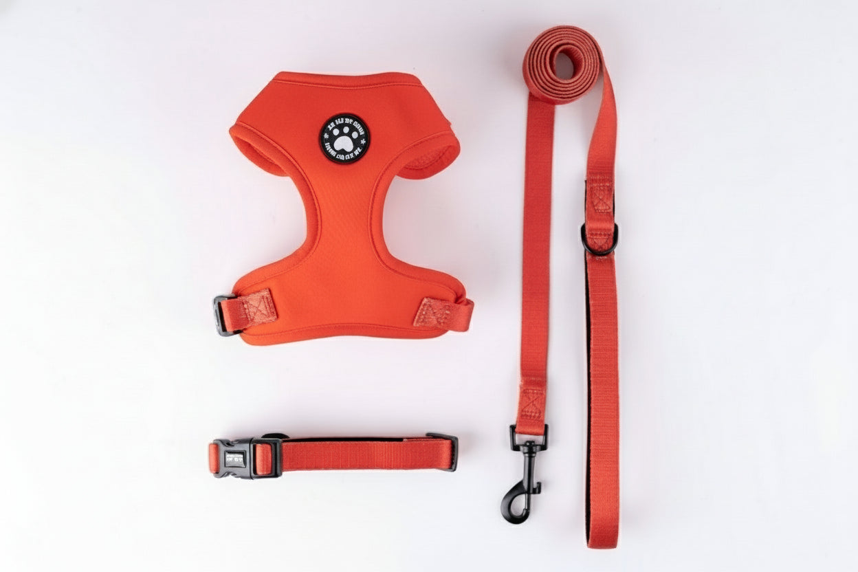 Komplet Snudles hundesæt i ensfarvet klar orange: Justerbar hundesele, matchende halsbånd og hundesnor præsenteret fladt.