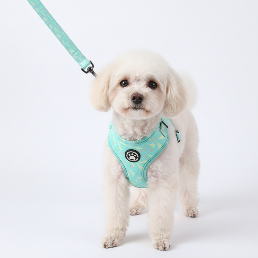 Komplet Snudles hundesæt i mintgrøn farve med lysegrønt dinosaur mønster: Hundesele, matchende halsbånd og hundesnor. 2