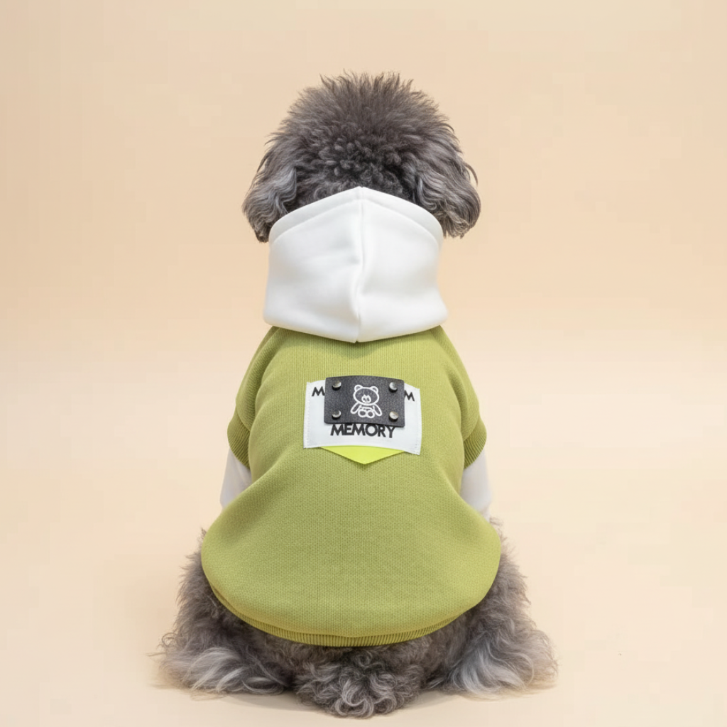 En mørk, krølhåret hund sidder med ryggen til på en ensfarvet, lysebeige baggrund. Hunden bærer en hvid hættetrøje med en lysegrøn krop. På ryggen af hættetrøjen ses et sort mærke med teksten "MEMORY" og et lille bjørnemotiv.