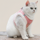 Hvid kat iført lyserødt plysforet katteharnes i fløjl, der fremhæver harnassets behagelige pasform og refleksdetaljer på stropperne.