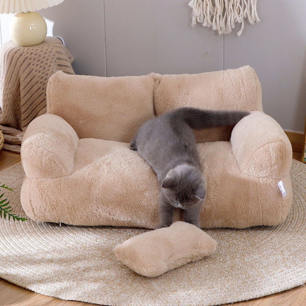 En lysebrun sofa til katte med et klassisk design og blødt plysstof.