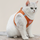 Sølvfarvet kat i et orange, plysforet katteharnes af ribbet fløjl, der illustrerer den tætsiddende og behagelige pasform for katte.