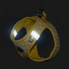 Billede af gul hundesele, der viser de reflekterende striber i mørke. Optimal sikkerhed for lille hund og hvalp.