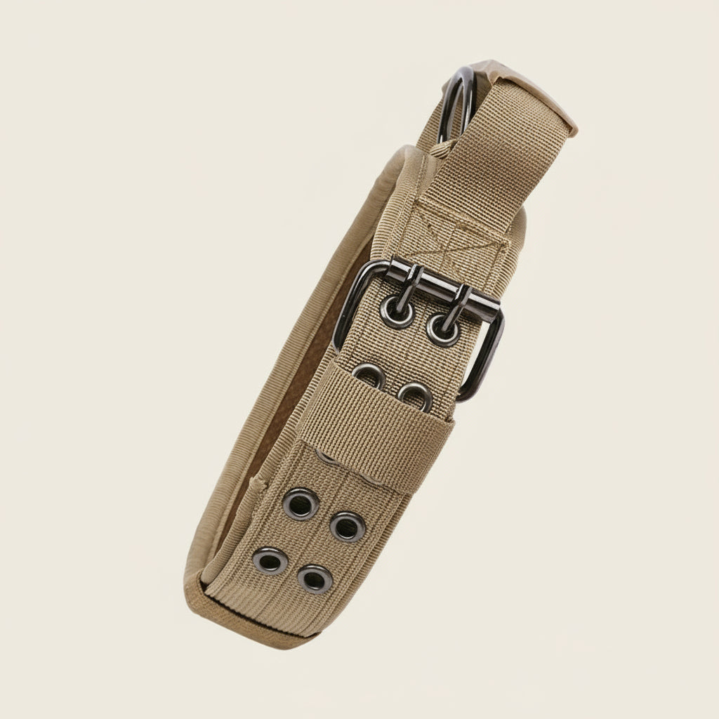 Nærbillede af sandfarvet taktisk hundehalsbånd med metalspænde og forstærket D-ring