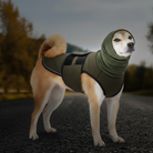 En Shiba Inu iført en mørkegrøn beroligende hundevest fra Snudles med hætte og reflekterende stribe, stående på en landevej. Velegnet som anti-angst vest.