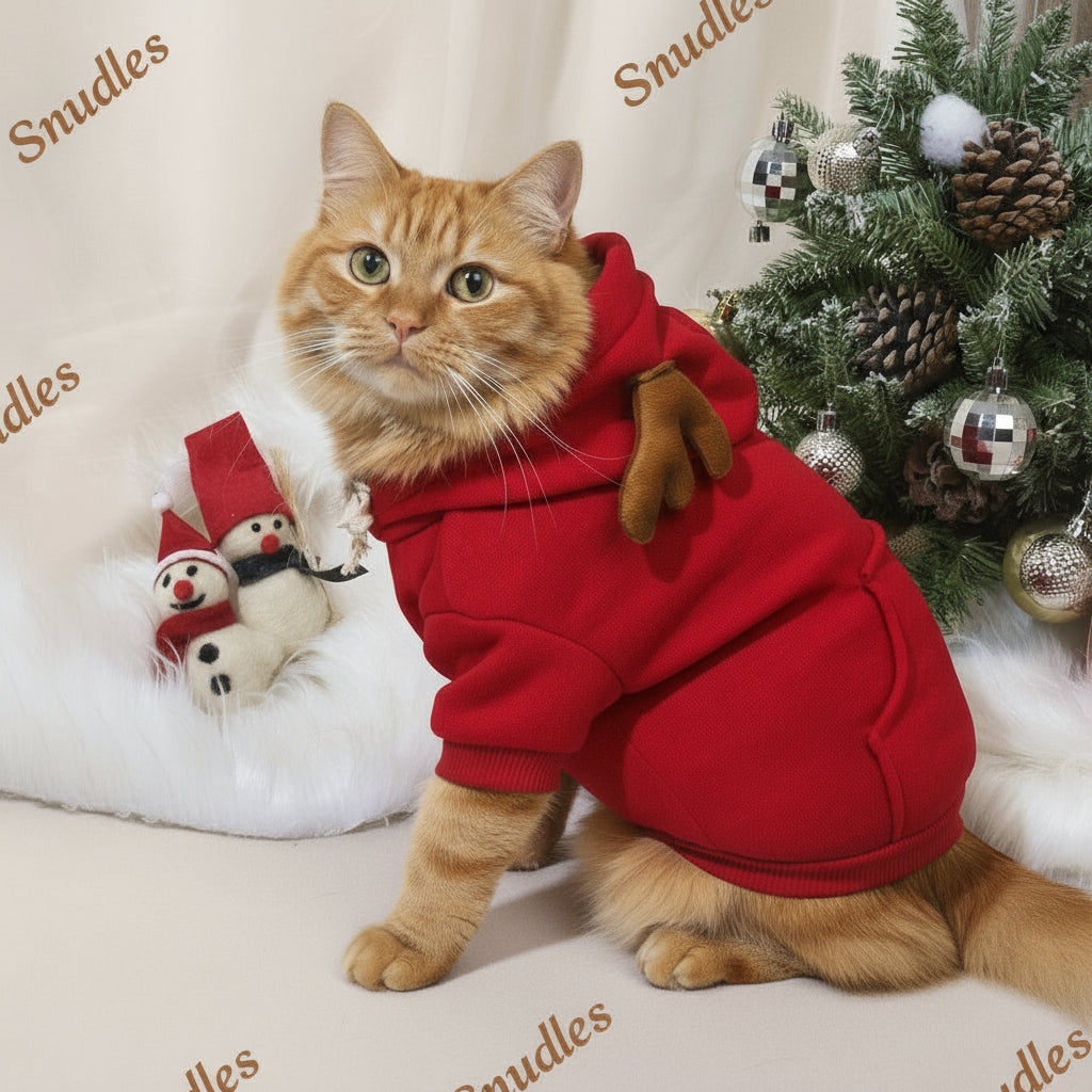 Lysebrun kat sidder stille og poserer i den iøjnefaldende røde Snudles Jule Hoody sweater.