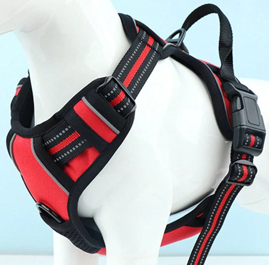 En Snudles anti-træk hundesele med blød polstring og åndbart mesh, fotograferet mod en neutral baggrund