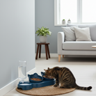 Blå kattefoderstation fra snudles elegant placeret i en minimalistisk, skandinavisk stue, der fremhæver produktets design og funktionalitet