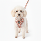 komplet Snudles sæt med lyserødt og brunt potespor mønster: Justerbar hundesele, matchende halsbånd og hundesnor. 2 